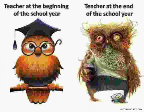 teachers first and last
